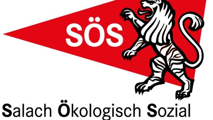 LOGO_SOES_Tiger2.jpg